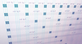 Bootstrap � ������� ������� ���? �� �����!