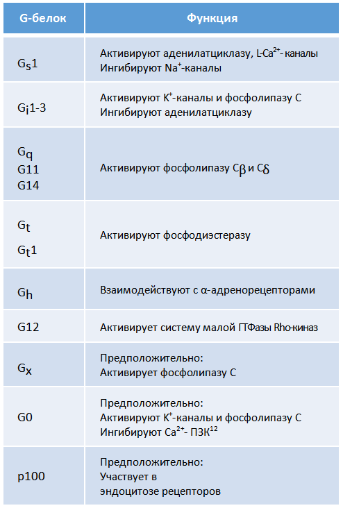 ������� 1. G-����� 