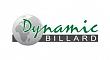 Dynamic Billiard